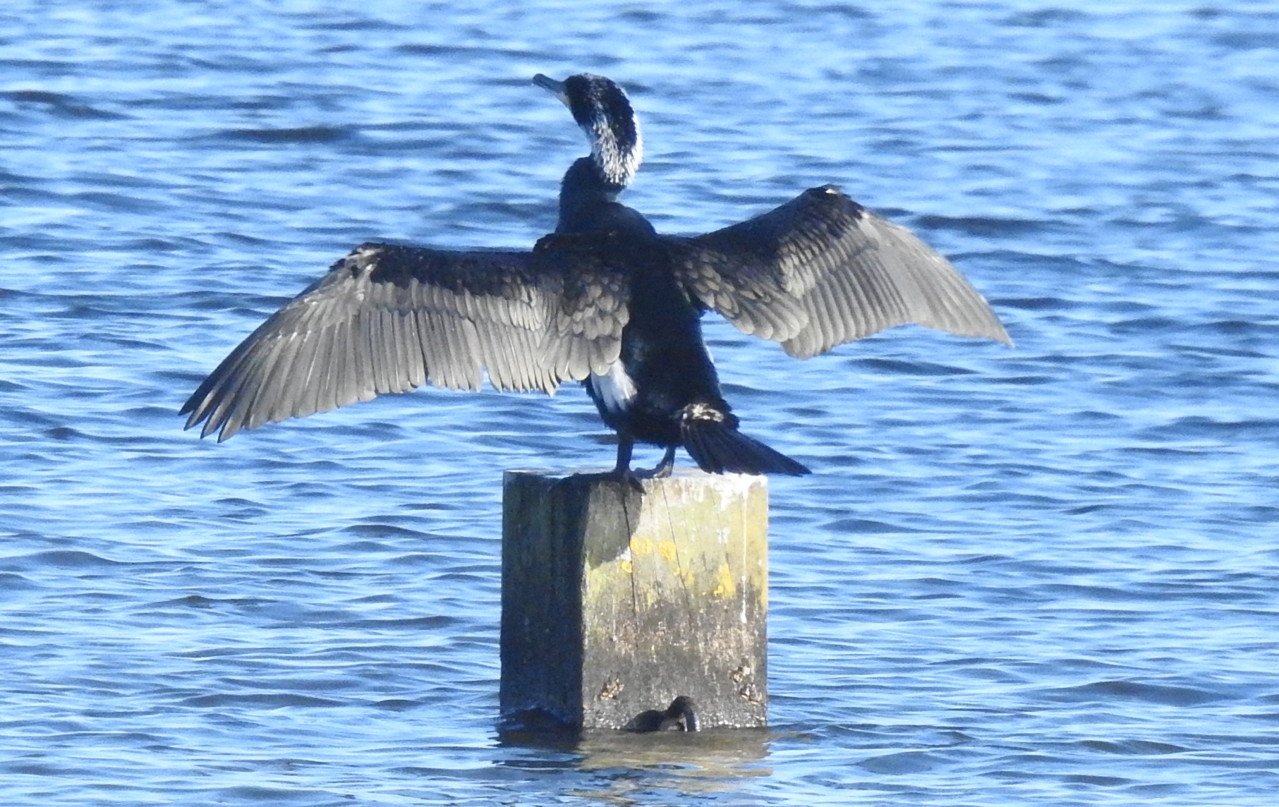Van de bestuurstafel 27 januari 2026