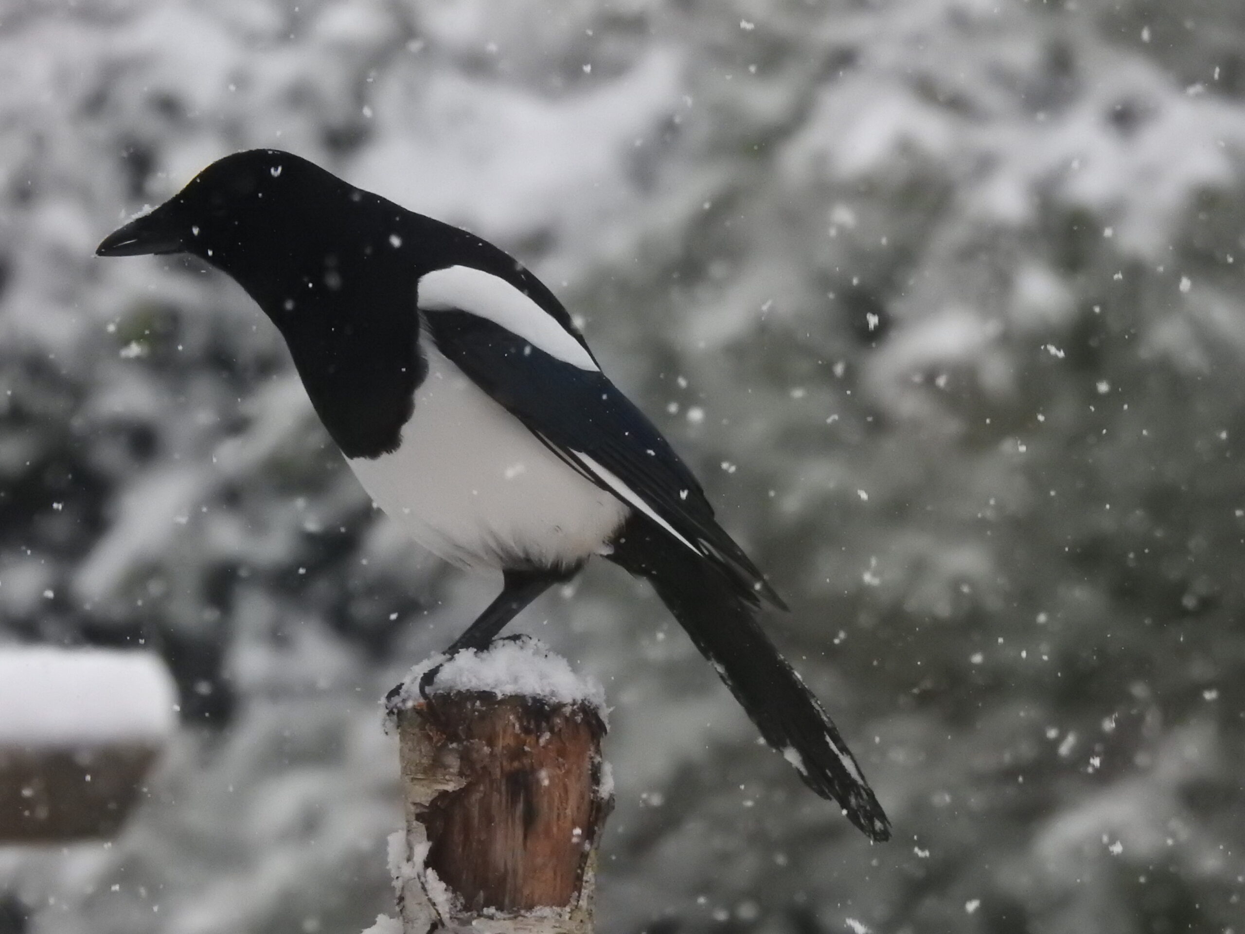 Aanleveren agendapunten Algemene Ledenvergadering 2026