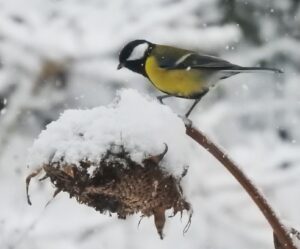 Van de bestuurstafel 16 december 2025