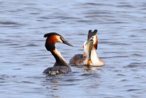Verslag Algemene Ledenvergadering 19 maart 2026