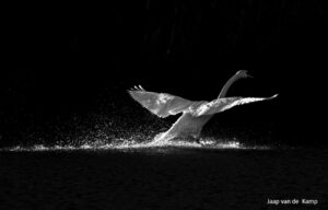 Uitkomsten en evaluatie ledenenquete