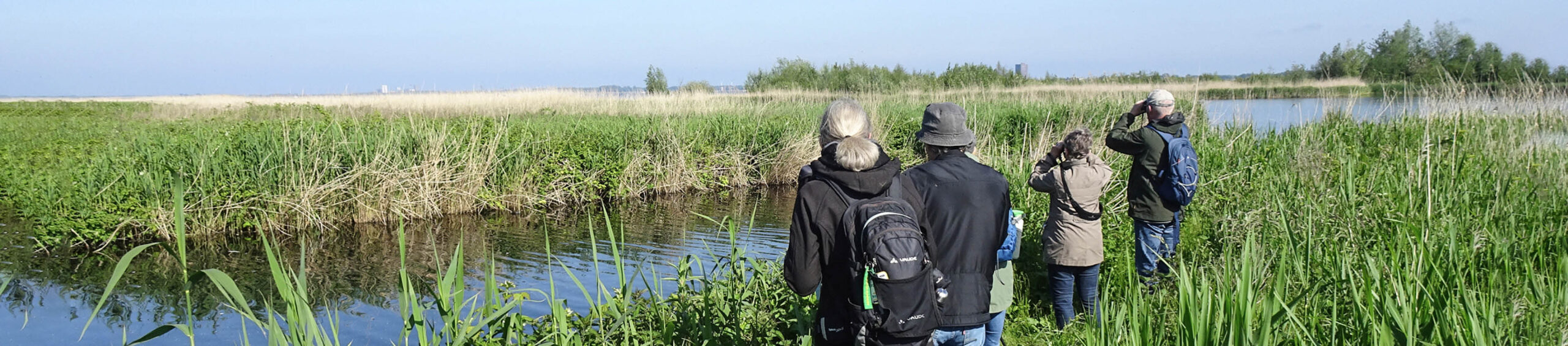 Met de cursisten op excursie naar het Gooimeer