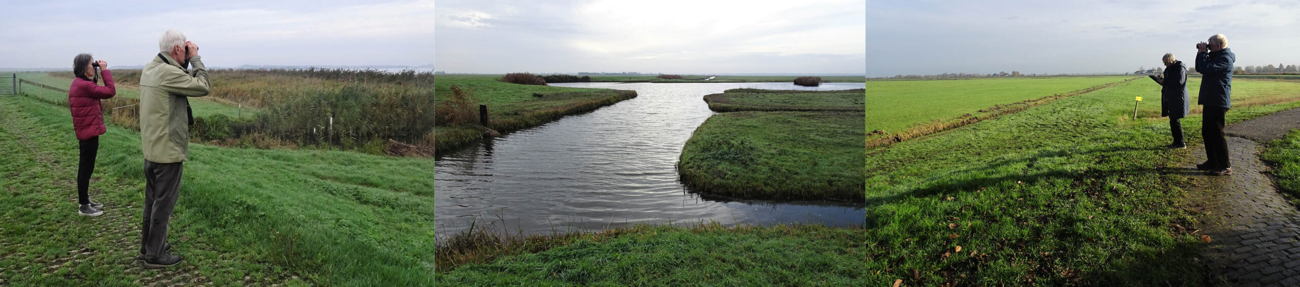 Per auto door de polder en uitstappen om te tellen