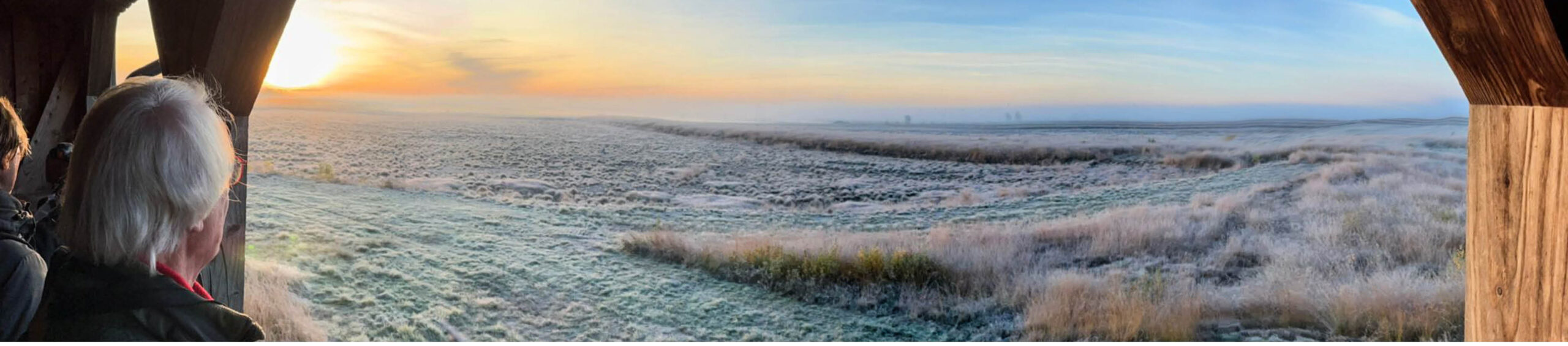 Kraanvogels fotograferen. Uitzicht vanuit de Kijkhut Uchter Moor, 3 november 2024  |  Rob Prinzen