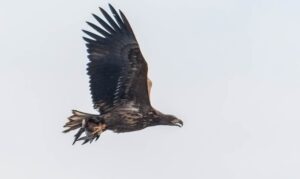 Van de bestuurstafel – 10 maart 2026