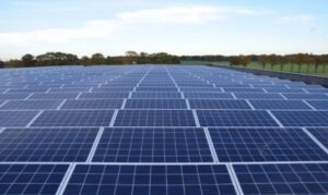 Kan zonnepark ‘De Boomgaard’ in Ankeveen meer natuurwaarde krijgen?